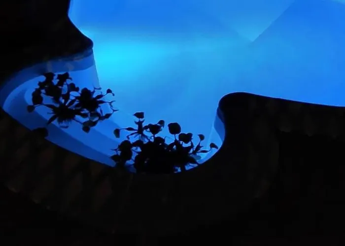 Casa Golfinho 度假居 *