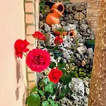 Casa Golfinho Semesterbostad *
