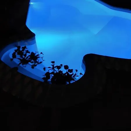 Casa Golfinho Сasa de vacaciones *