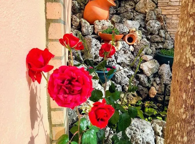 Casa Golfinho Дом отдыха *